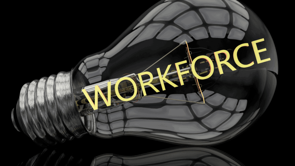 Workforce insights